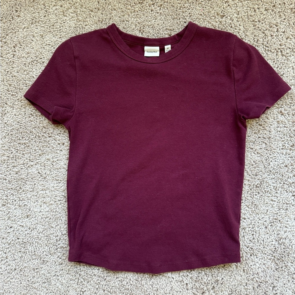 Aritzia Sunday Best burgundy tee